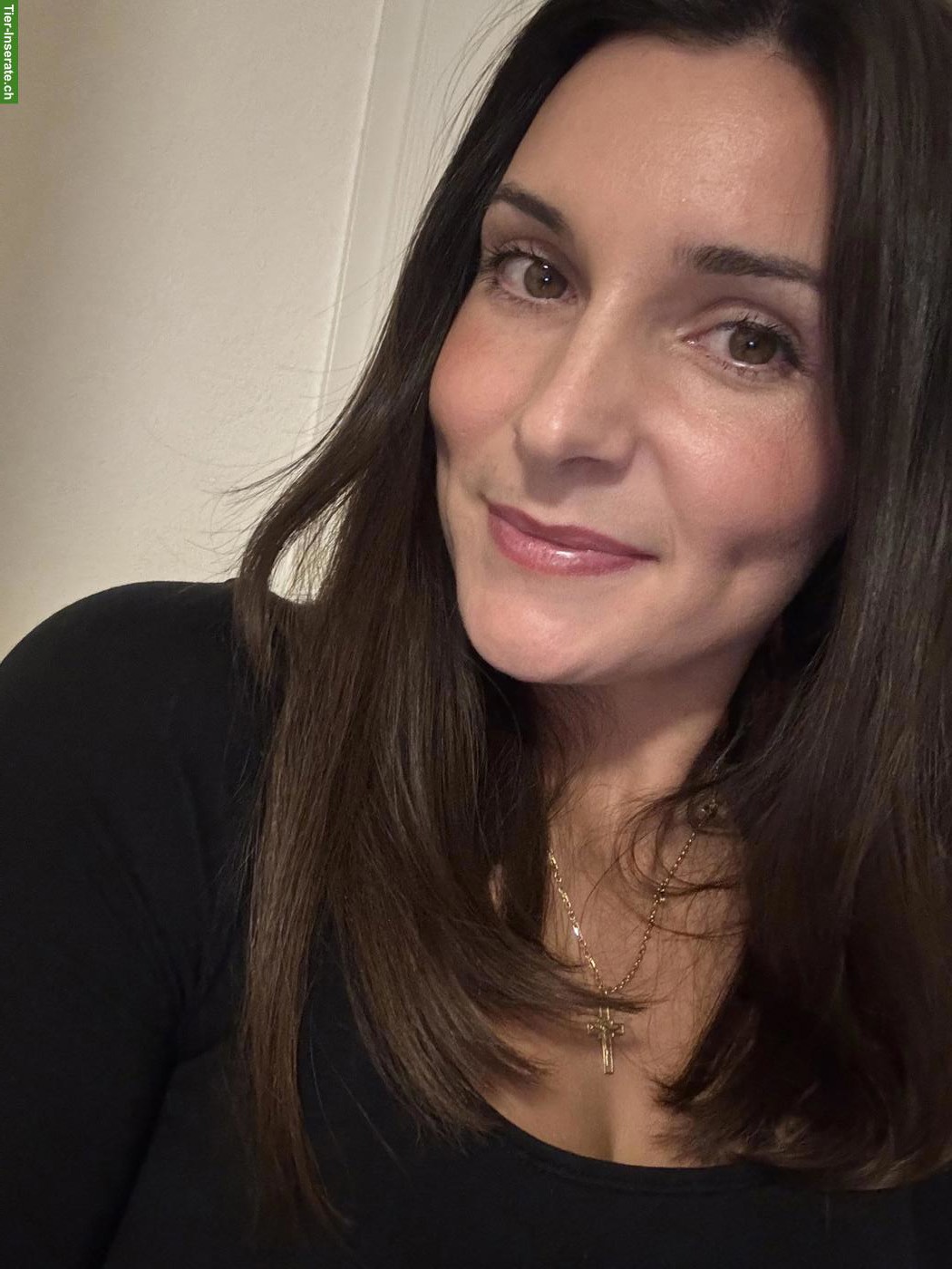 Liebevolle Hundebetreuung gesucht? Region Wil SG