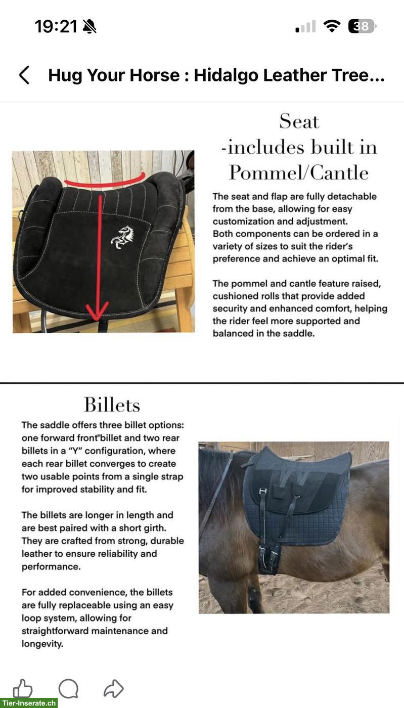 Bild 9: Hidalgo Softsattel, Ridalgo Reitpad zu verkaufen