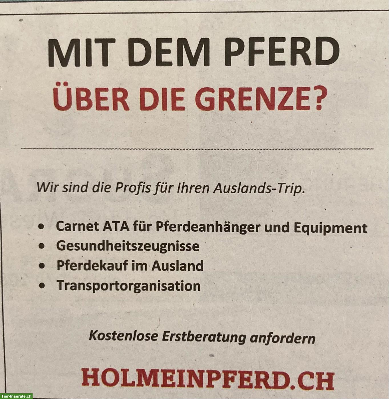 Hol mein Pferd | Sicher über die Grenze mit Ihrem Pferd