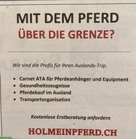 Hol mein Pferd | Sicher über die Grenze mit Ihrem Pferd