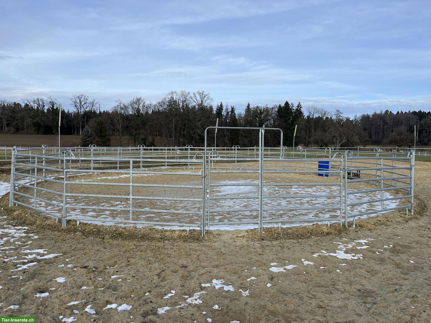 Neuwertiges Roundpen (2-jährig) zu verkaufen