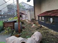 Grosse Kaninchenvoliere, Stall & viel Zubehör, Selbstabbau