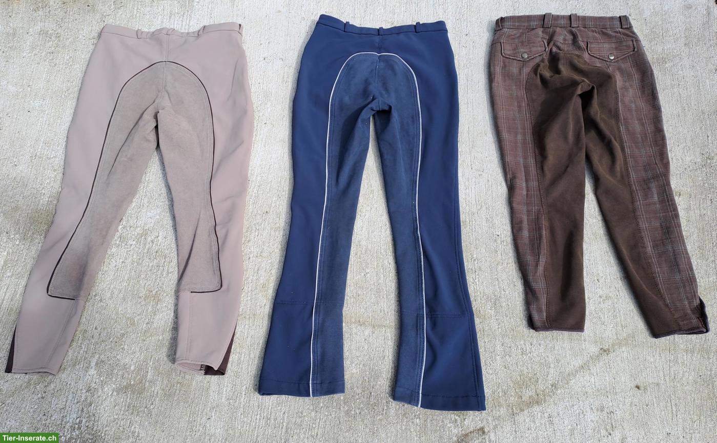 Reithosen, Thermo & Stoff, Gr. 38, 36/38