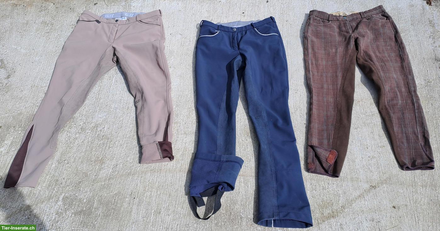 Bild 2: Reithosen, Thermo & Stoff, Gr. 38, 36/38