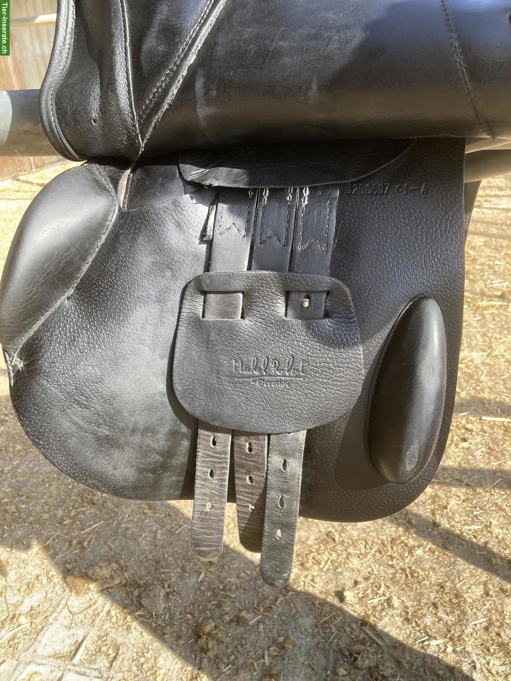 Bild 5: Prestige Springsattel Michel Robert 18 Zoll zu verkaufen