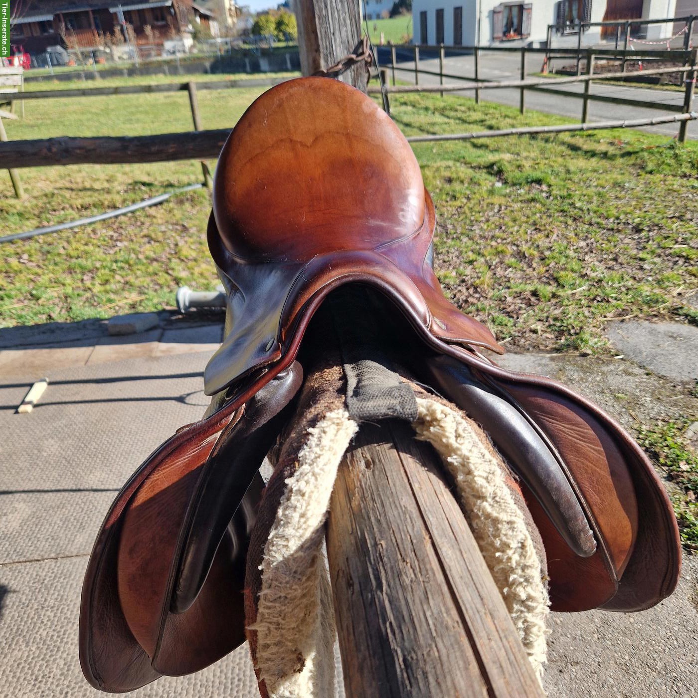 Bild 4: Fredy Röösli Sattel zu verkaufen