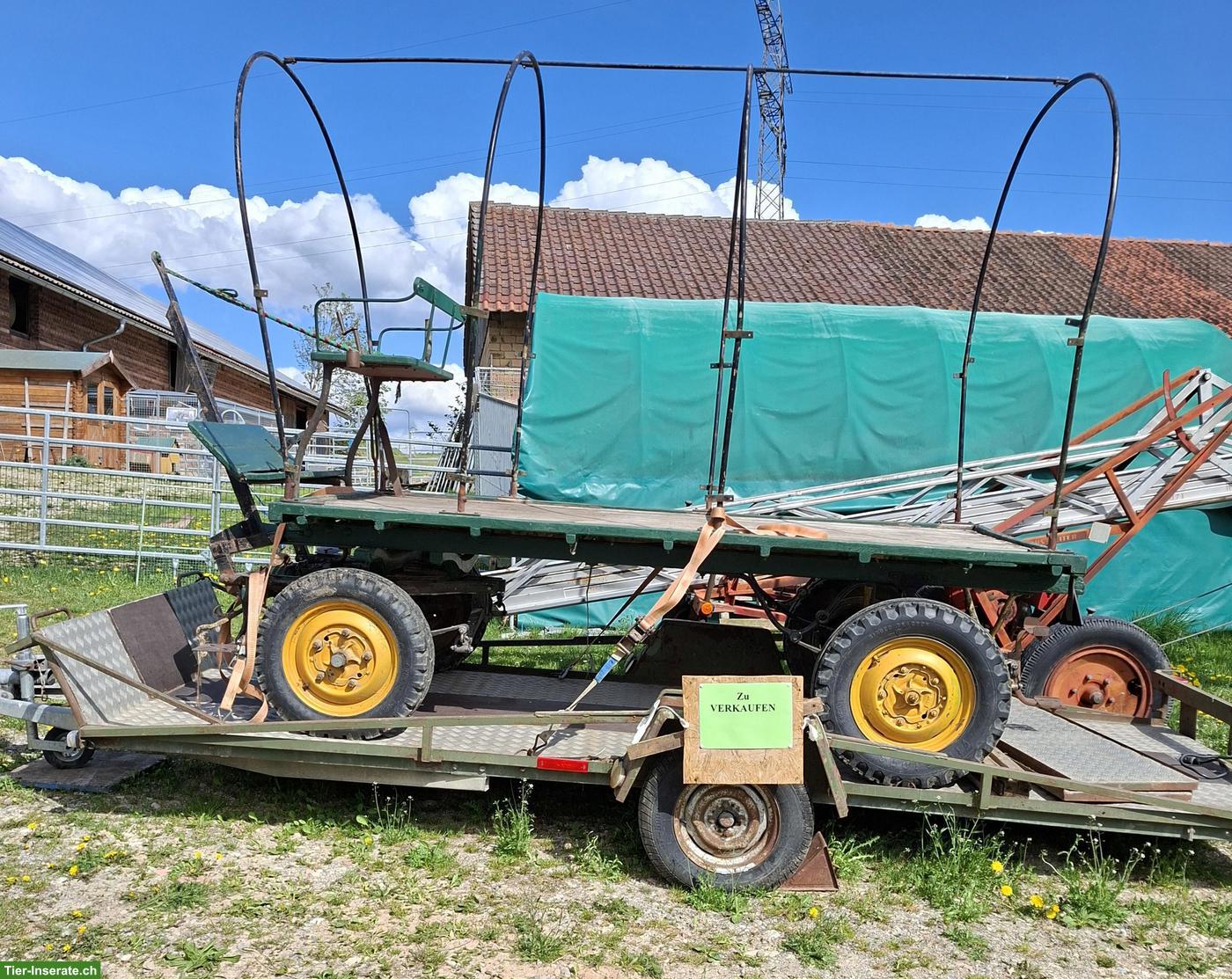Bockwagen für Pferde zu verkaufen