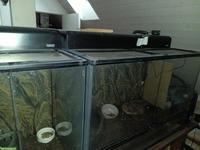 GRATIS: 2 Glasterrarien von Exo Terra