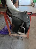 Sättel zu verkaufen: Butterfly Island, Uta Gräf, Michael Putz