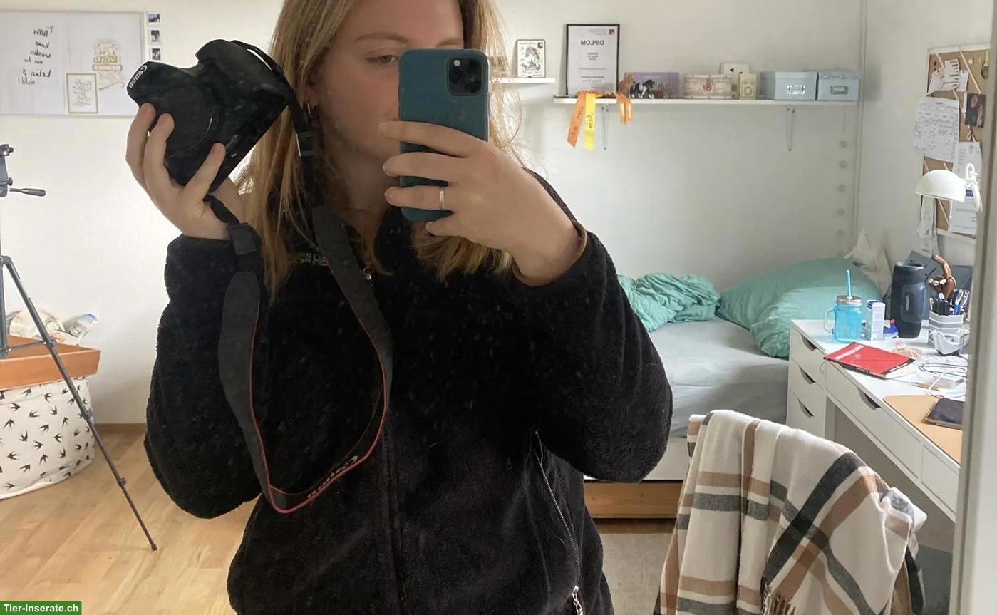 Bild 2: Bürojob gesucht bei Tierschutzorganisation, Tierheim, Tierladen etc.