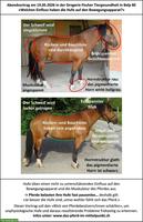 Vortrag «Einfluss der Hufe auf den Bewegungsapparat» am 19.05.2026