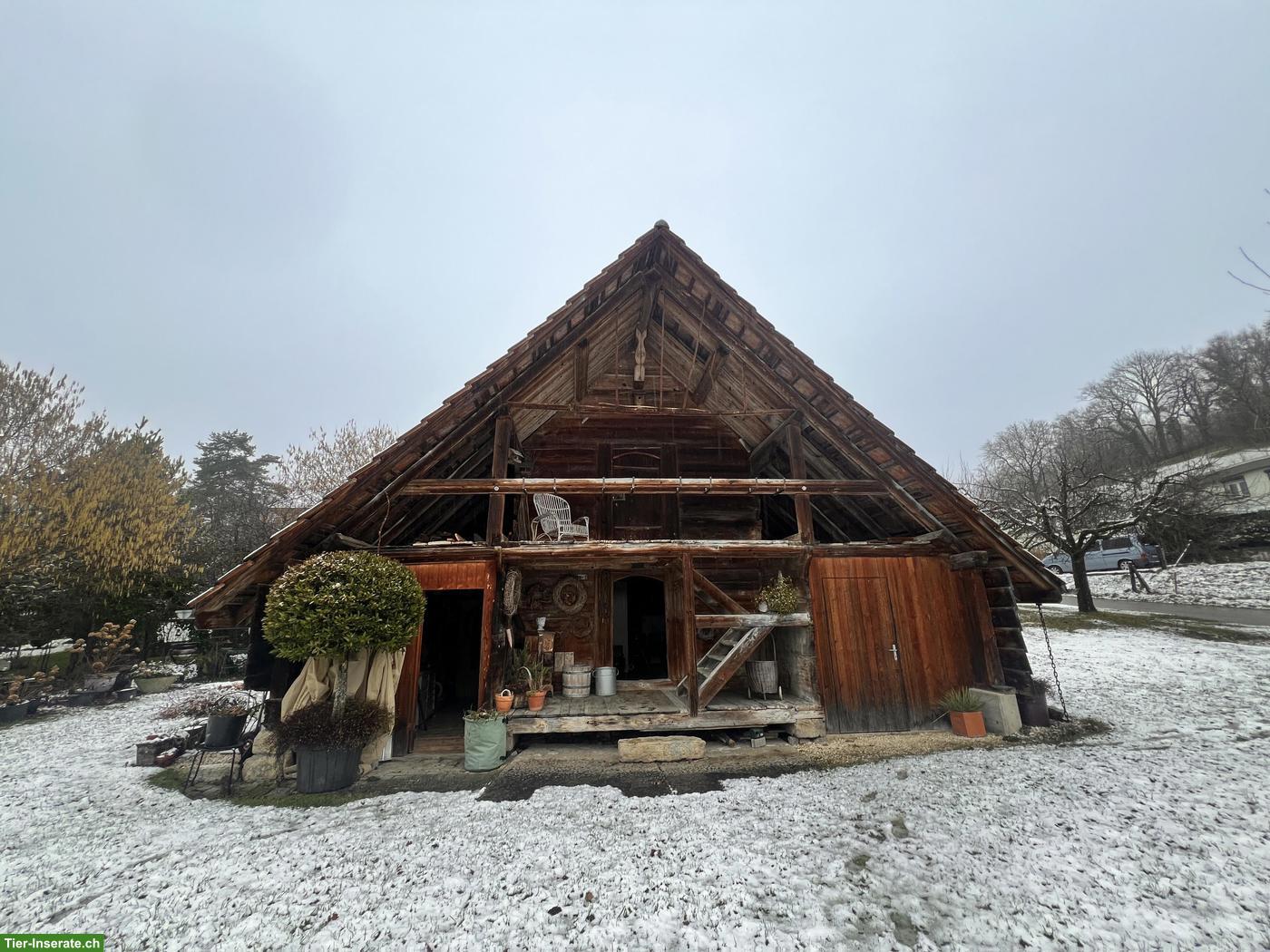 Historischer Spycher gratis zum Abholen