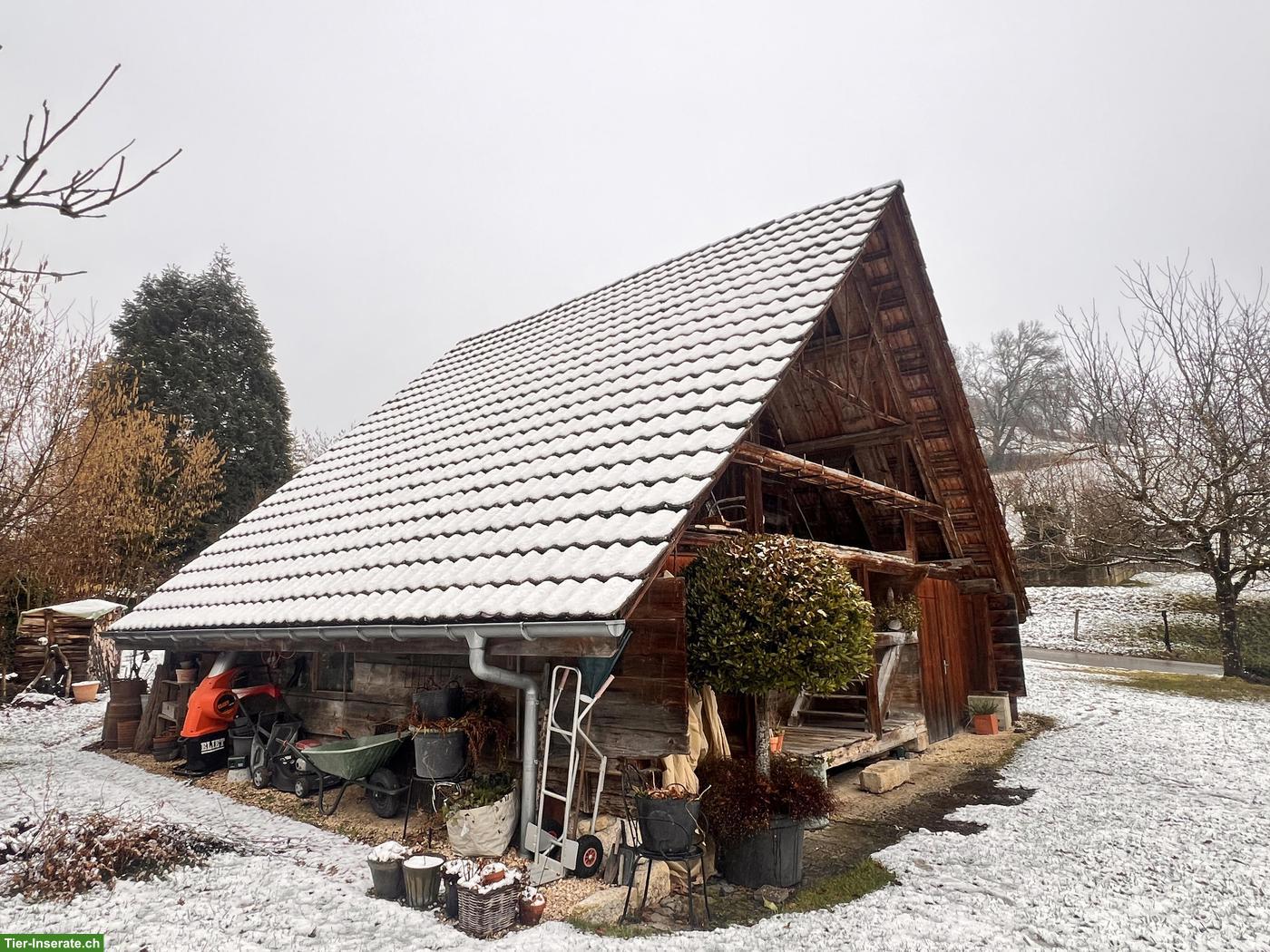 Bild 2: Historischer Spycher gratis zum Abholen