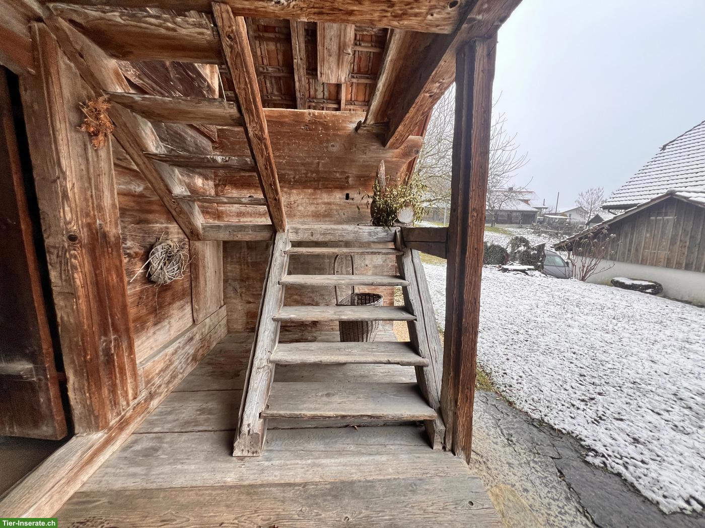 Bild 3: Historischer Spycher gratis zum Abholen