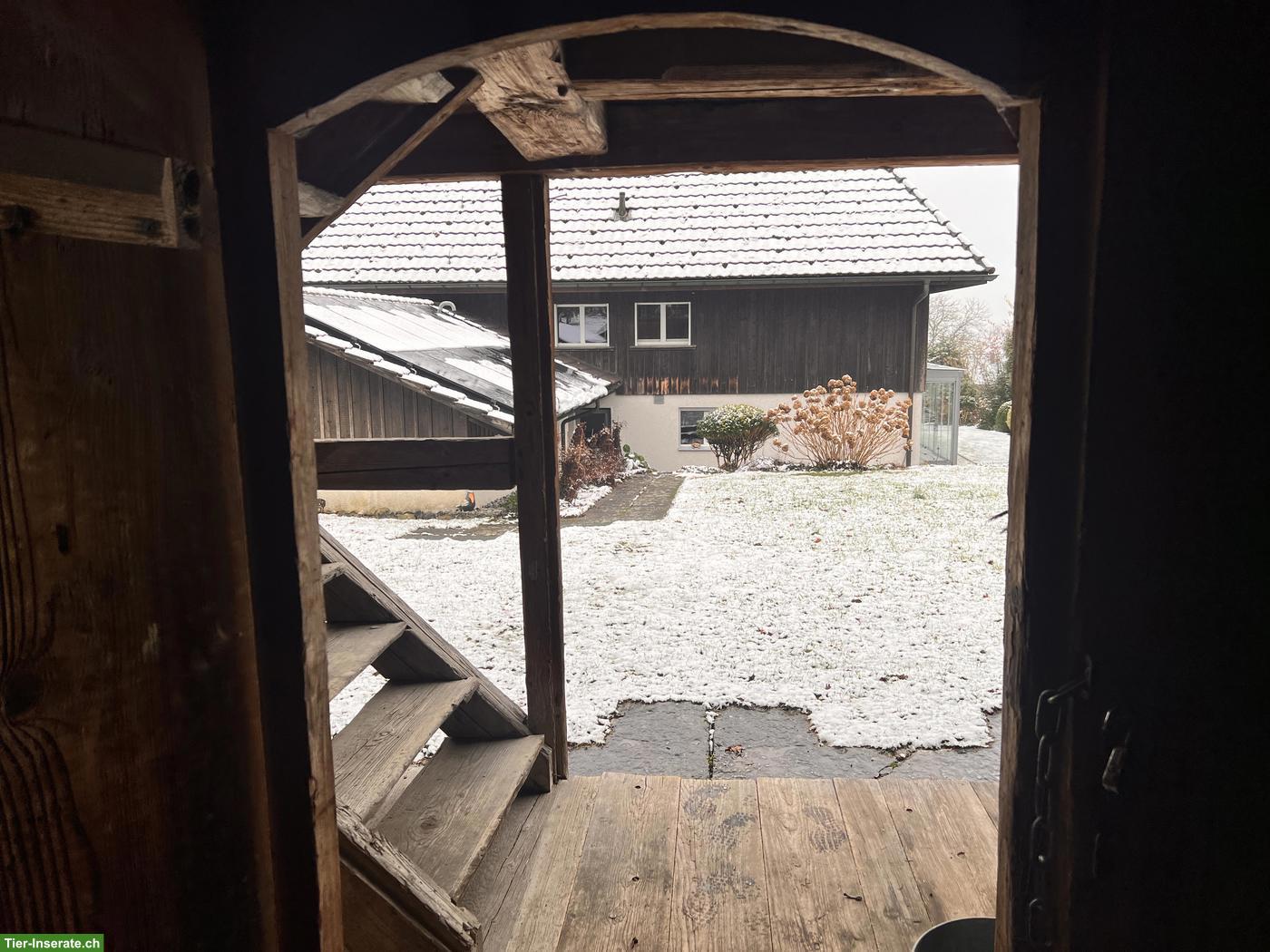 Bild 6: Historischer Spycher gratis zum Abholen