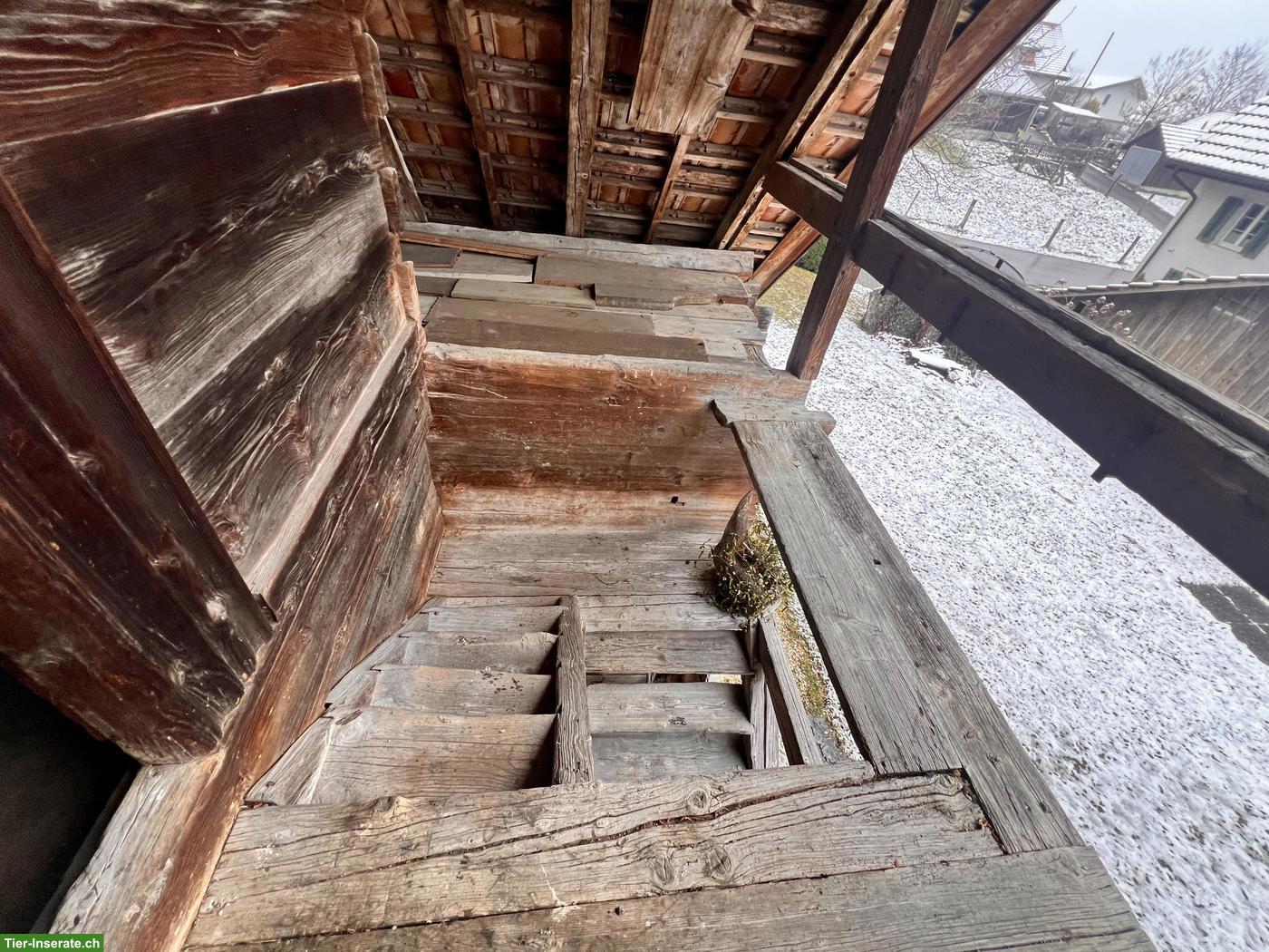 Bild 9: Historischer Spycher gratis zum Abholen