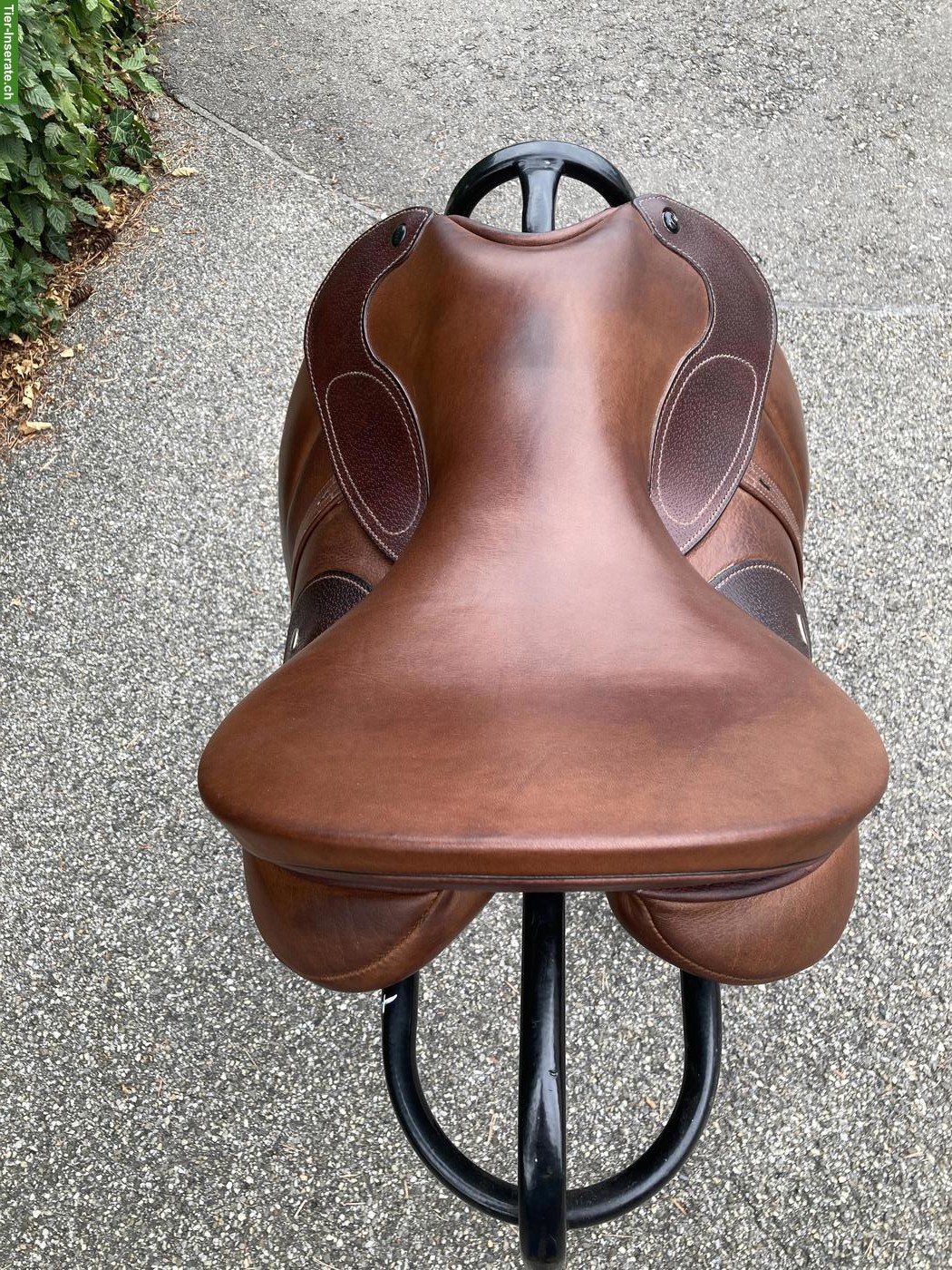 Bild 2: WOW Dressursattel mit Steigbügelriemen & H-Gurt Padded