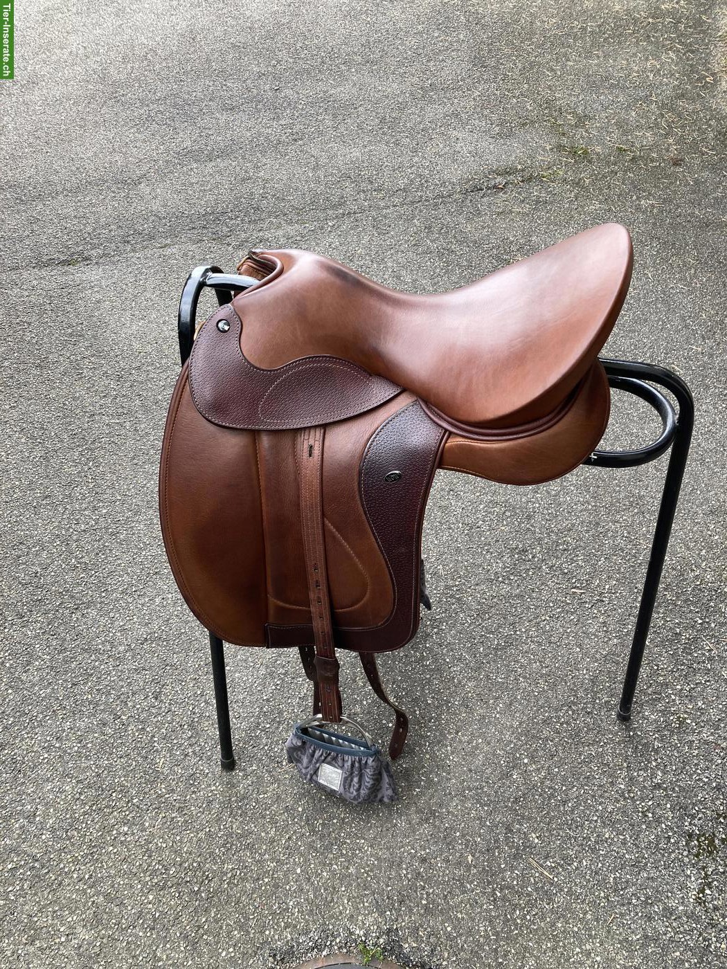 Bild 3: WOW Dressursattel mit Steigbügelriemen & H-Gurt Padded