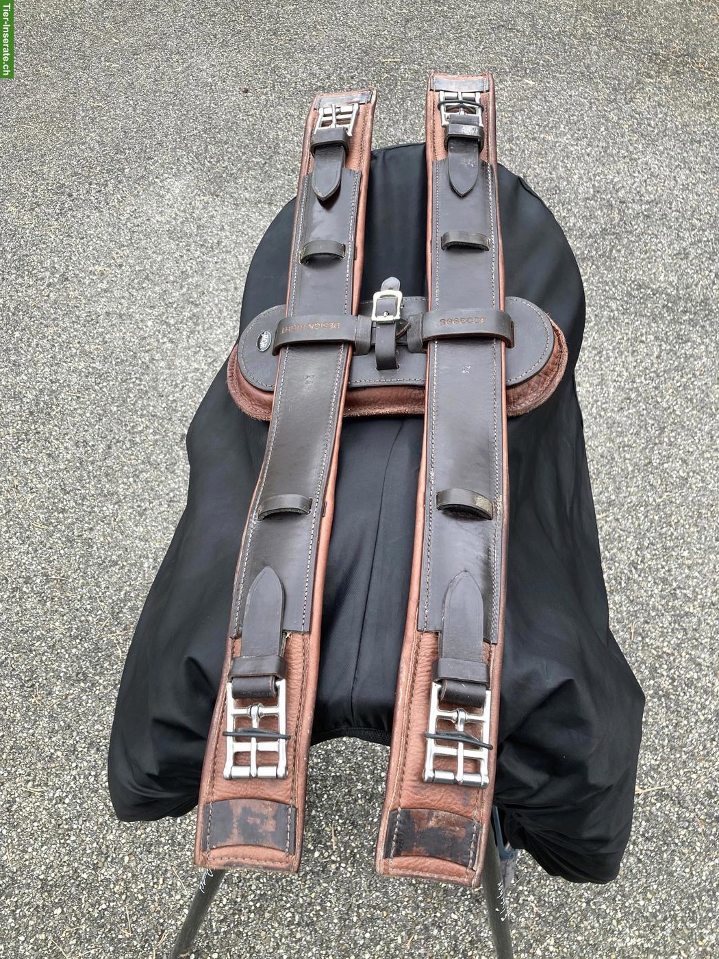 Bild 4: WOW Dressursattel mit Steigbügelriemen & H-Gurt Padded