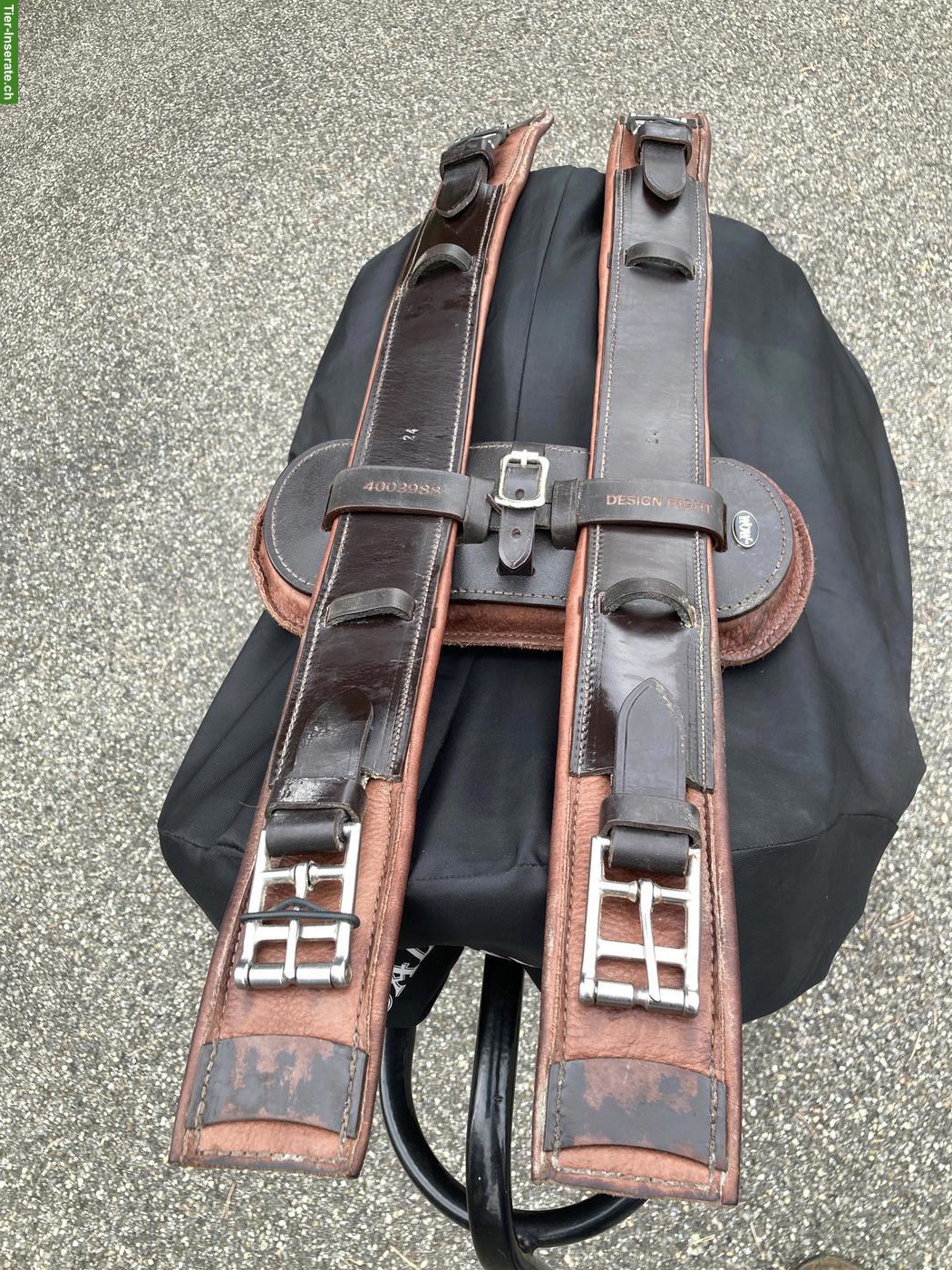 Bild 5: WOW Dressursattel mit Steigbügelriemen & H-Gurt Padded