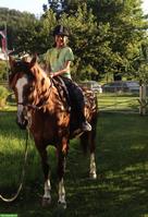 Reitunterricht für Kinder auf Freibergerstute