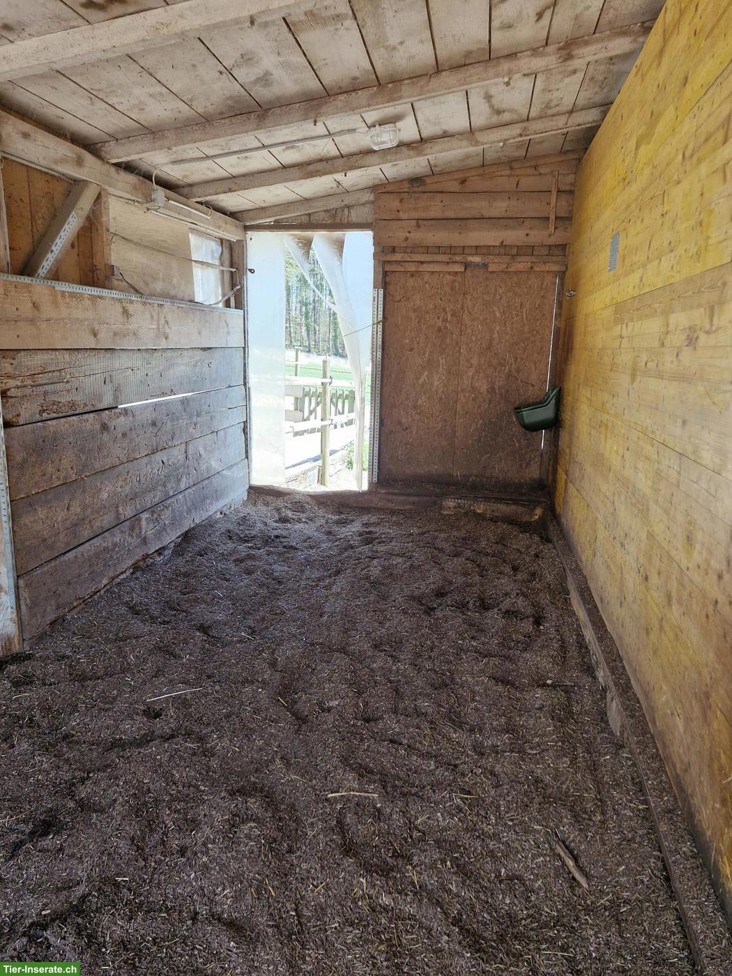 Bild 2: Selbstversorgerstall für Kleinpferde in Oberembrach ZH