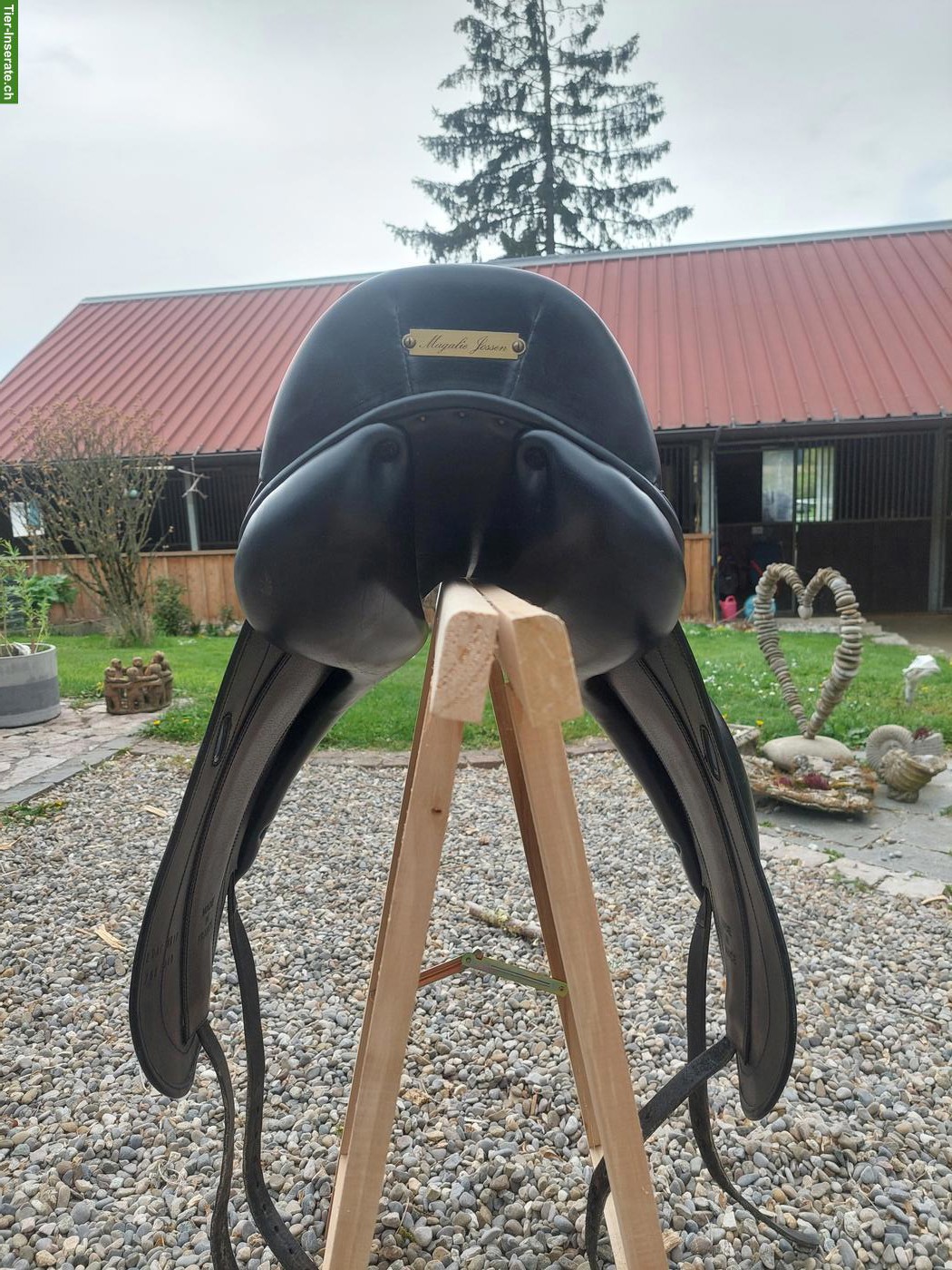 Bild 2: Childéric Dressursattel DAC zu verkaufen