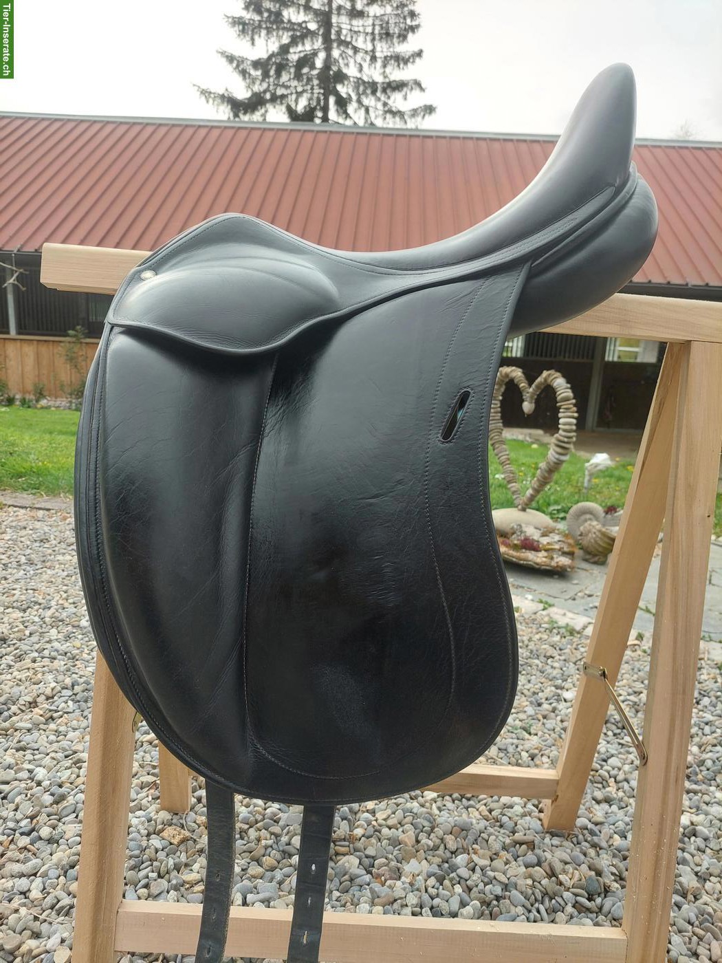 Bild 3: Childéric Dressursattel DAC zu verkaufen