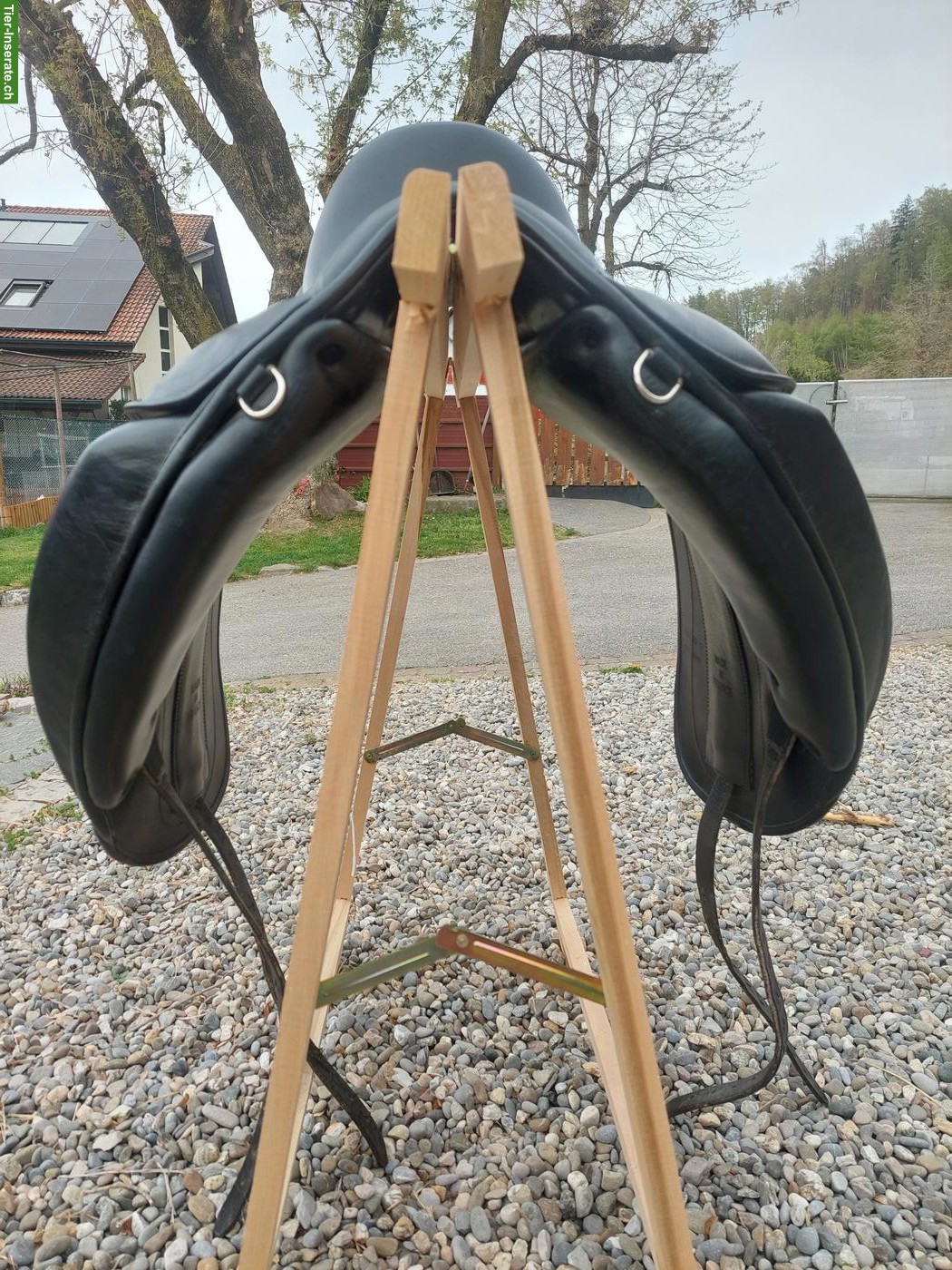Bild 5: Childéric Dressursattel DAC zu verkaufen