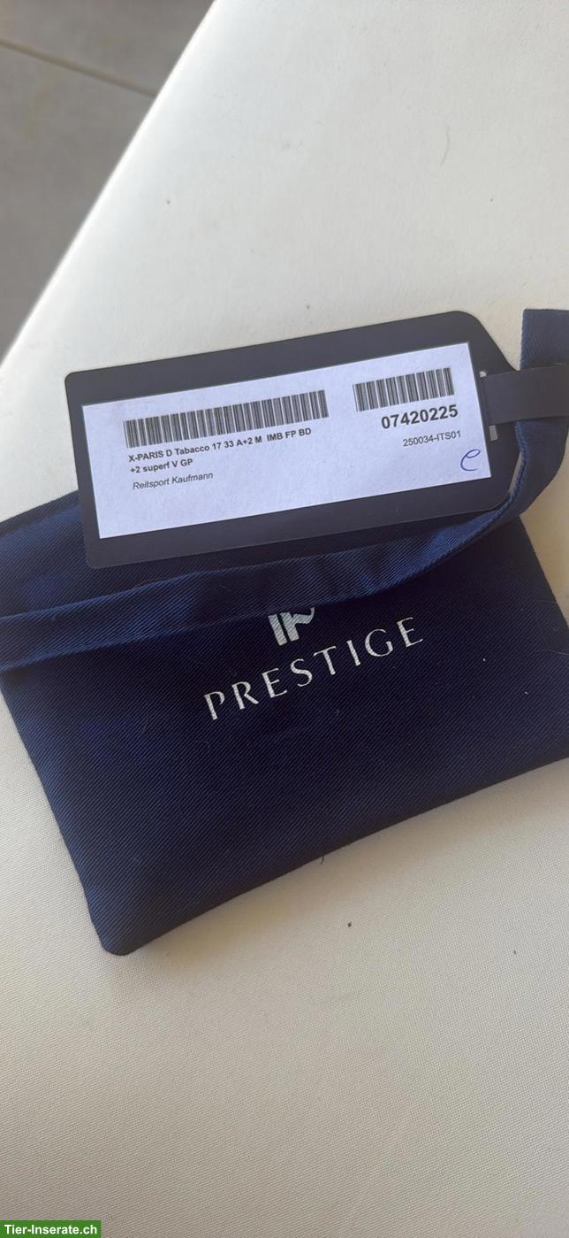 Bild 6: Springsattel Prestige X-Paris 17 Zoll zu verkaufen