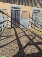 Auslaufboxen frei in Höri ZH