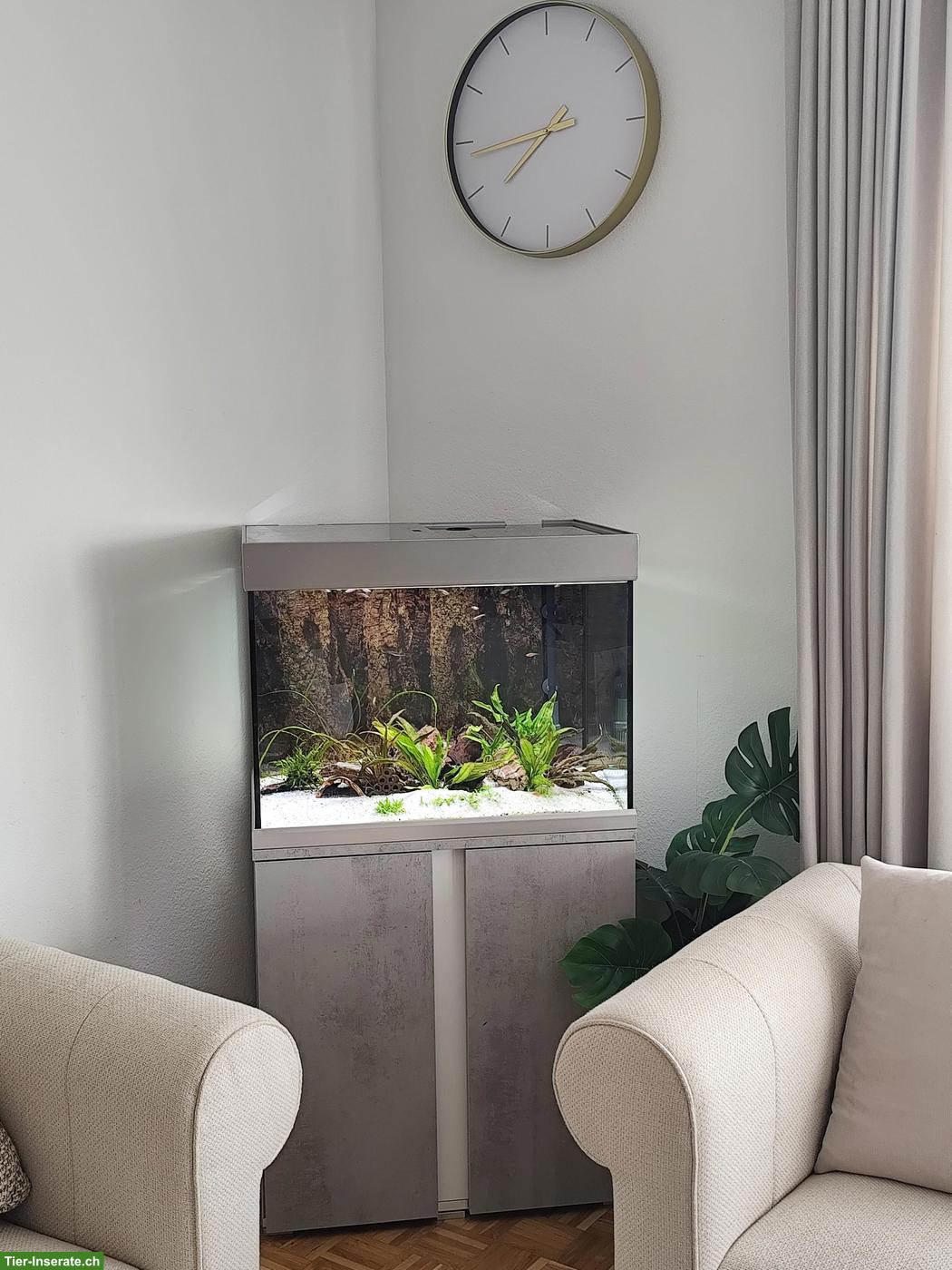 EHEIM Proxima 175L Aquarium Komplettset mit Zubehör