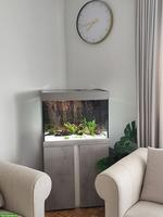 EHEIM Proxima 175L Aquarium Komplettset mit Zubehör