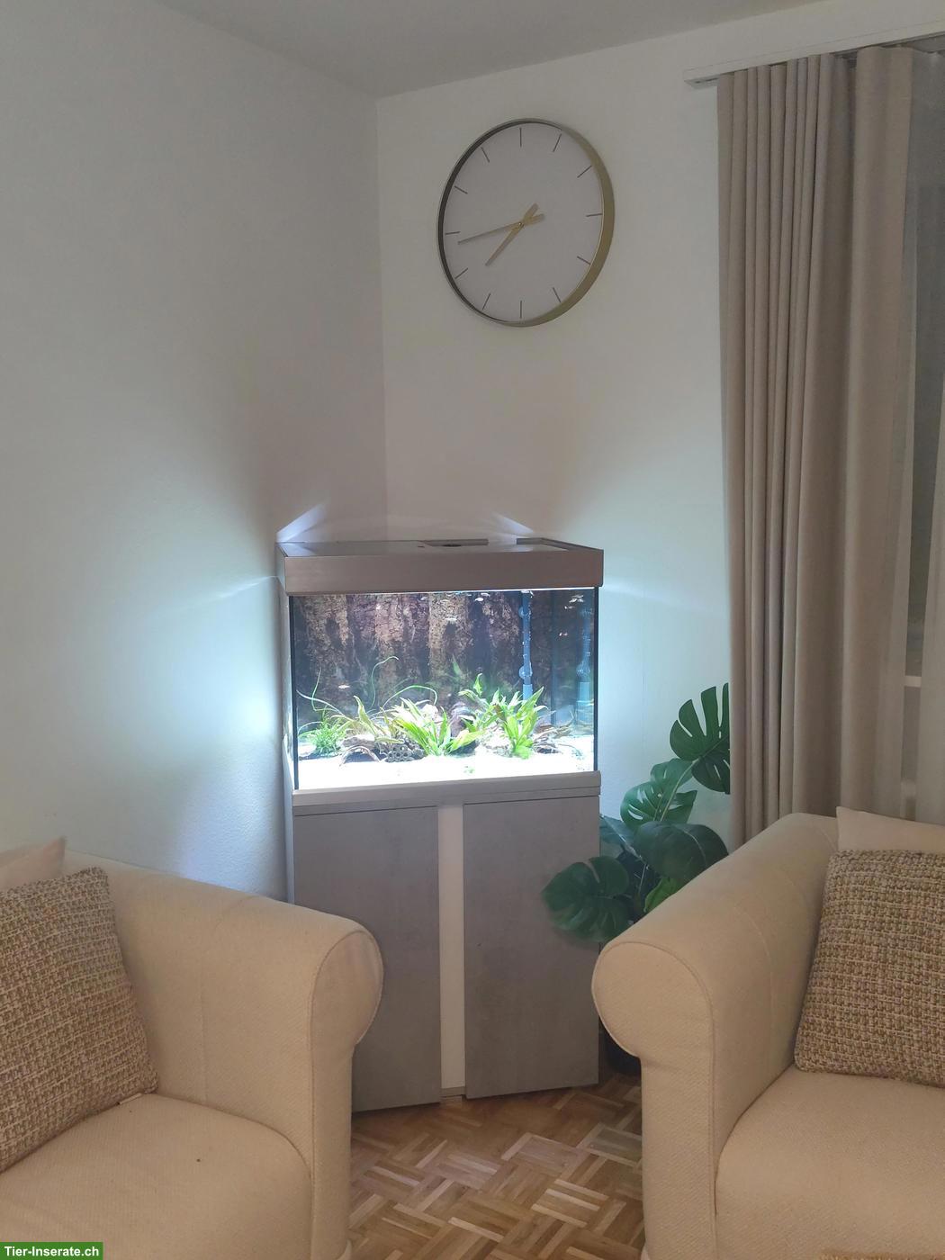 Bild 2: EHEIM Proxima 175L Aquarium Komplettset mit Zubehör