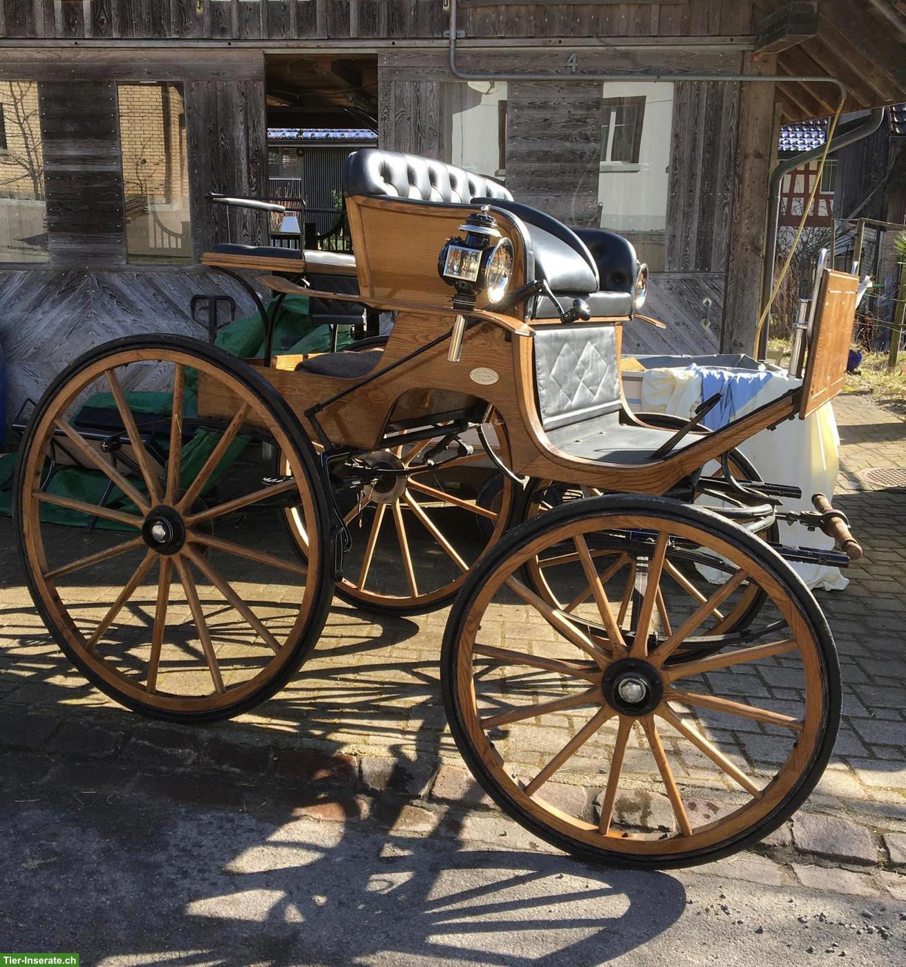 Wunderschöne Kutsche Spider Phaeton zu verkaufen