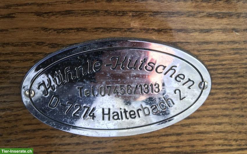 Bild 2: Wunderschöne Kutsche Spider Phaeton zu verkaufen