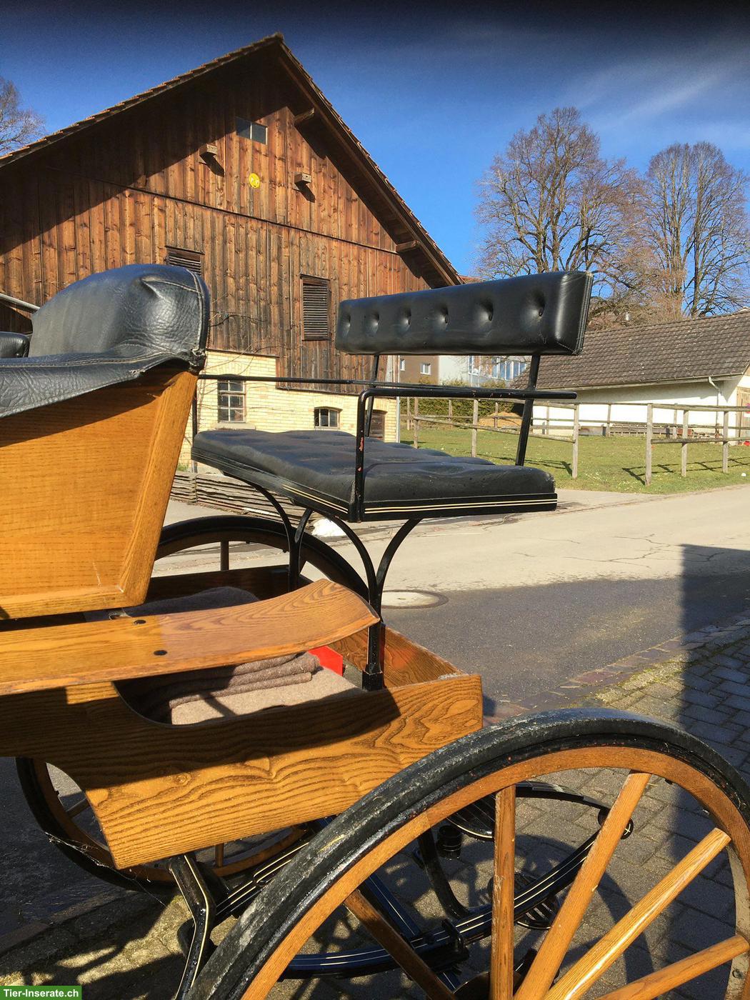 Bild 3: Wunderschöne Kutsche Spider Phaeton zu verkaufen