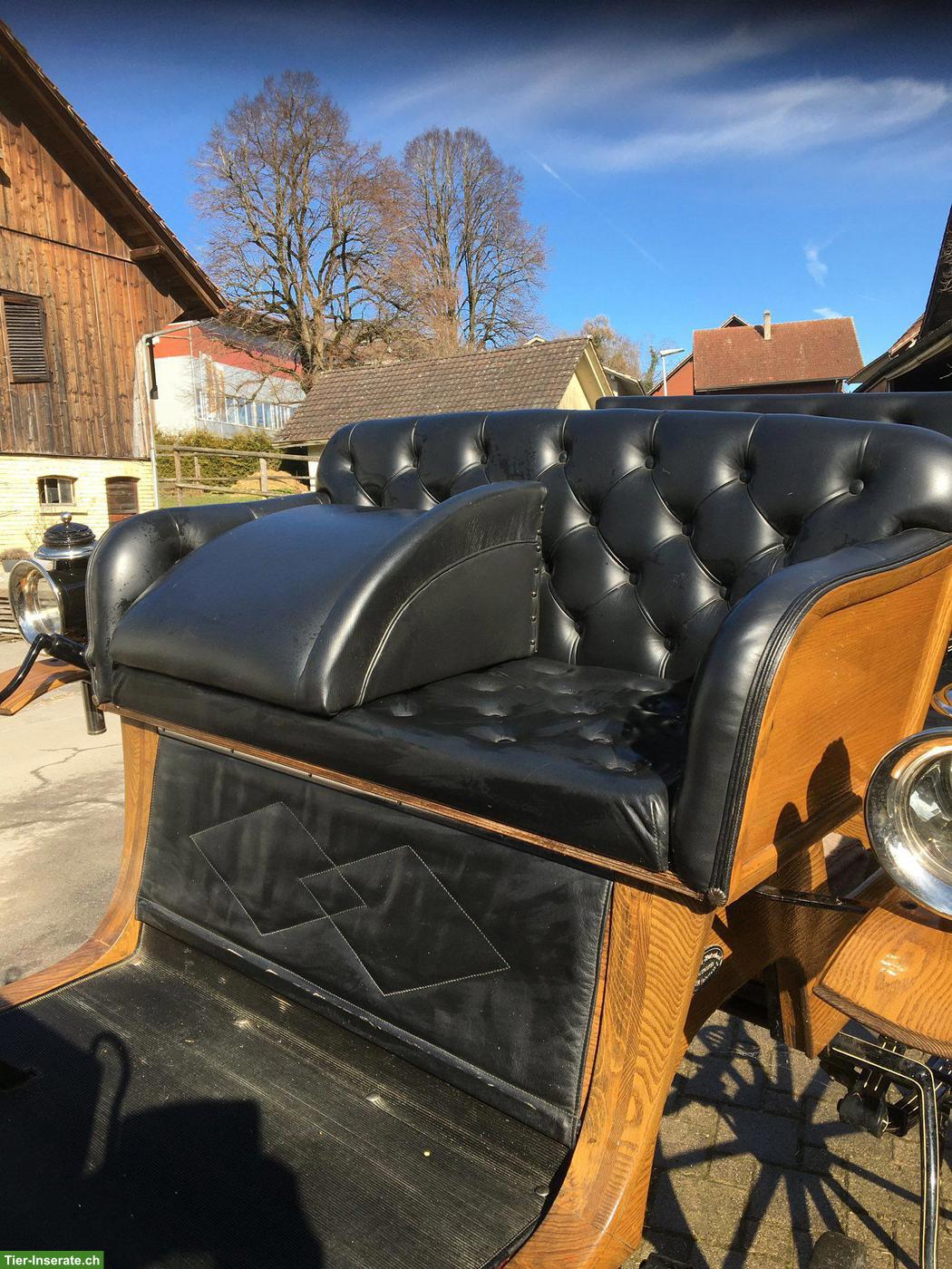 Bild 5: Wunderschöne Kutsche Spider Phaeton zu verkaufen