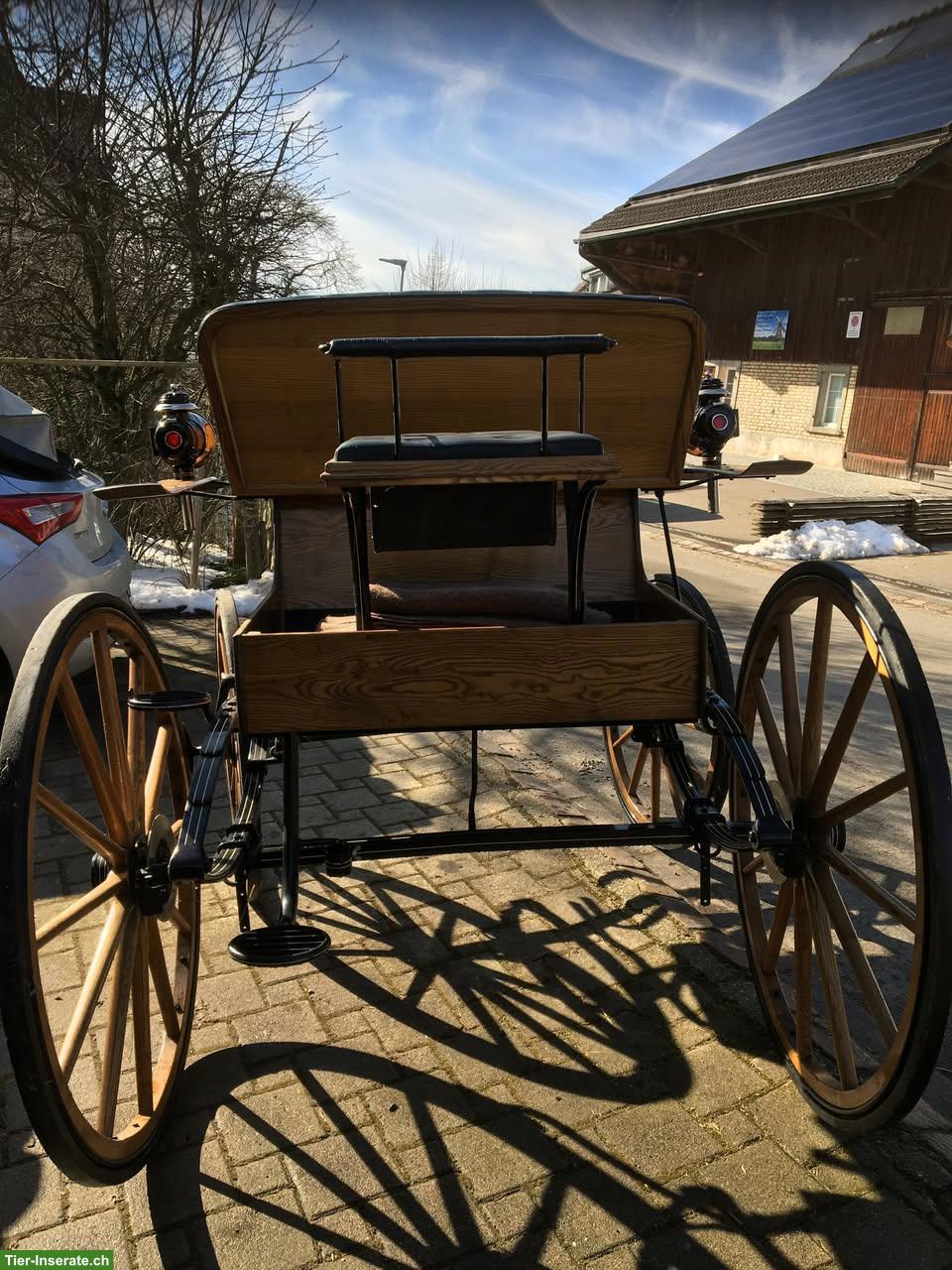 Bild 6: Wunderschöne Kutsche Spider Phaeton zu verkaufen