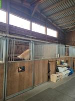 Freie Auslaufbox in Steinhausen, Kanton Zug