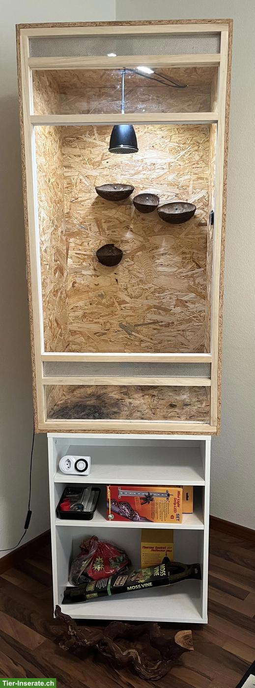 OSB Terrarium 60x120x60cm mit Zubehör