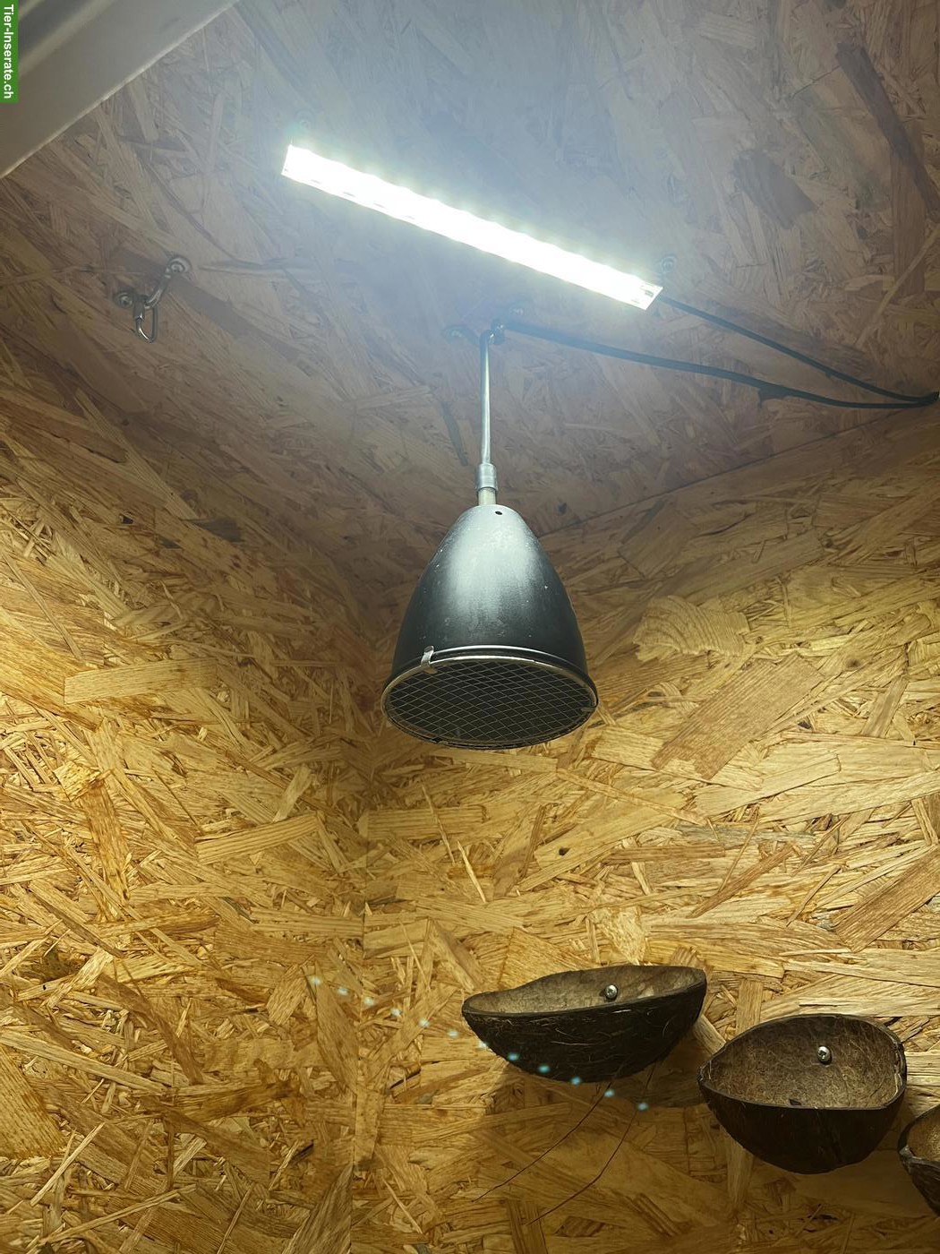 Bild 2: OSB Terrarium 60x120x60cm mit Zubehör