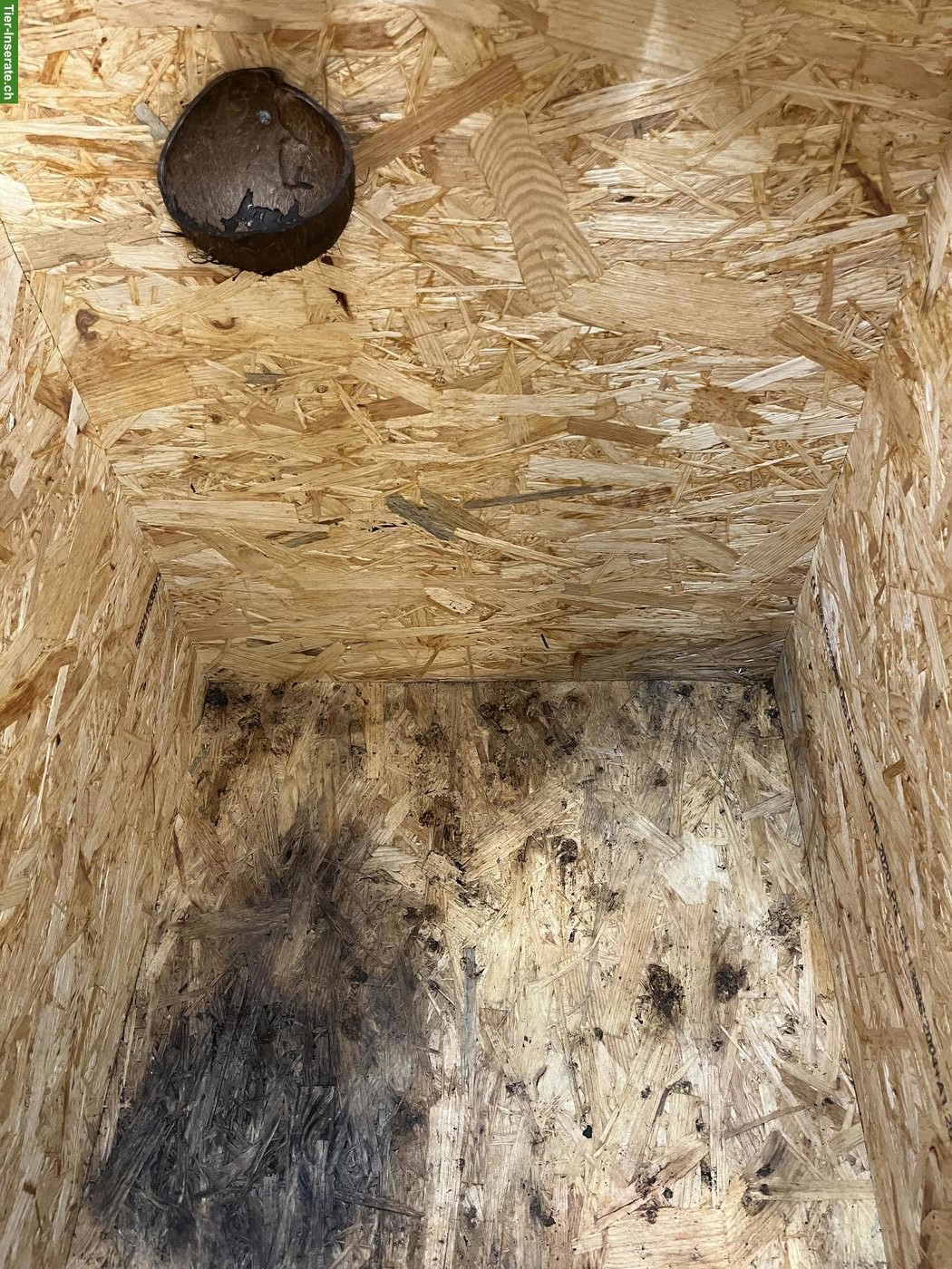 Bild 3: OSB Terrarium 60x120x60cm mit Zubehör