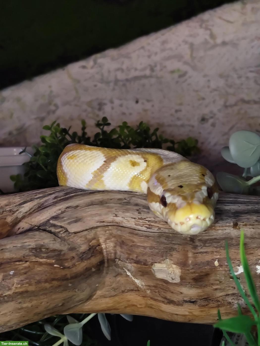 Bild 4: Ferienbetreuung Reptilien und Pflanzengiessen