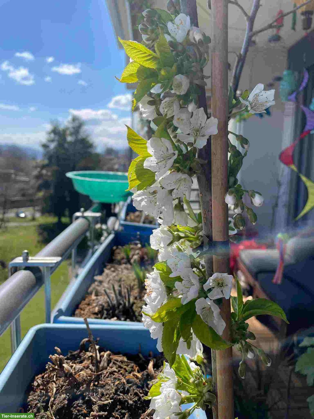 Bild 6: Ferienbetreuung Reptilien und Pflanzengiessen