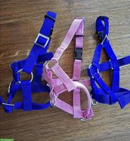 3 Alpaka Halfter, neuwertig