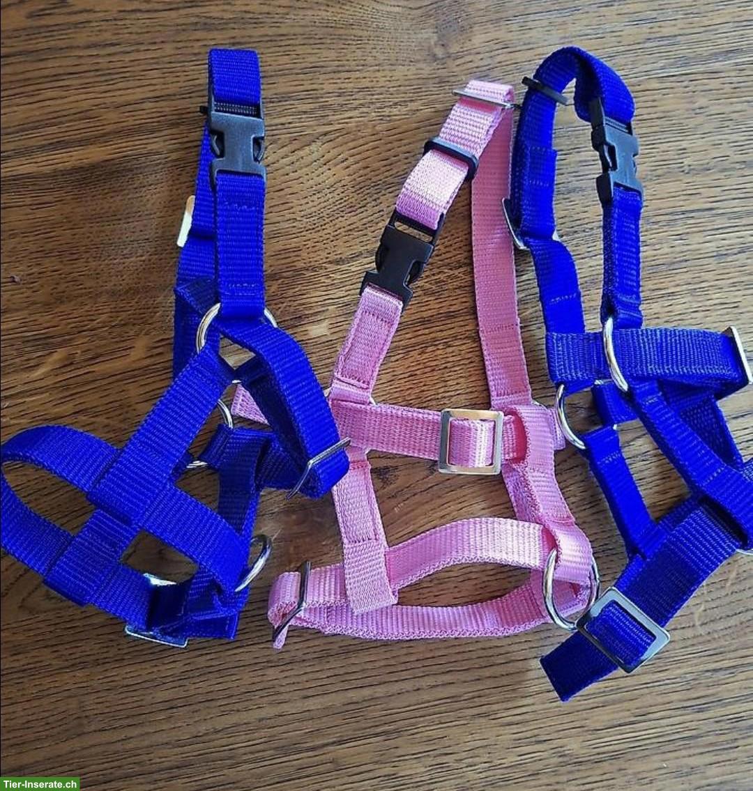 Bild 2: 3 Alpaka Halfter, neuwertig