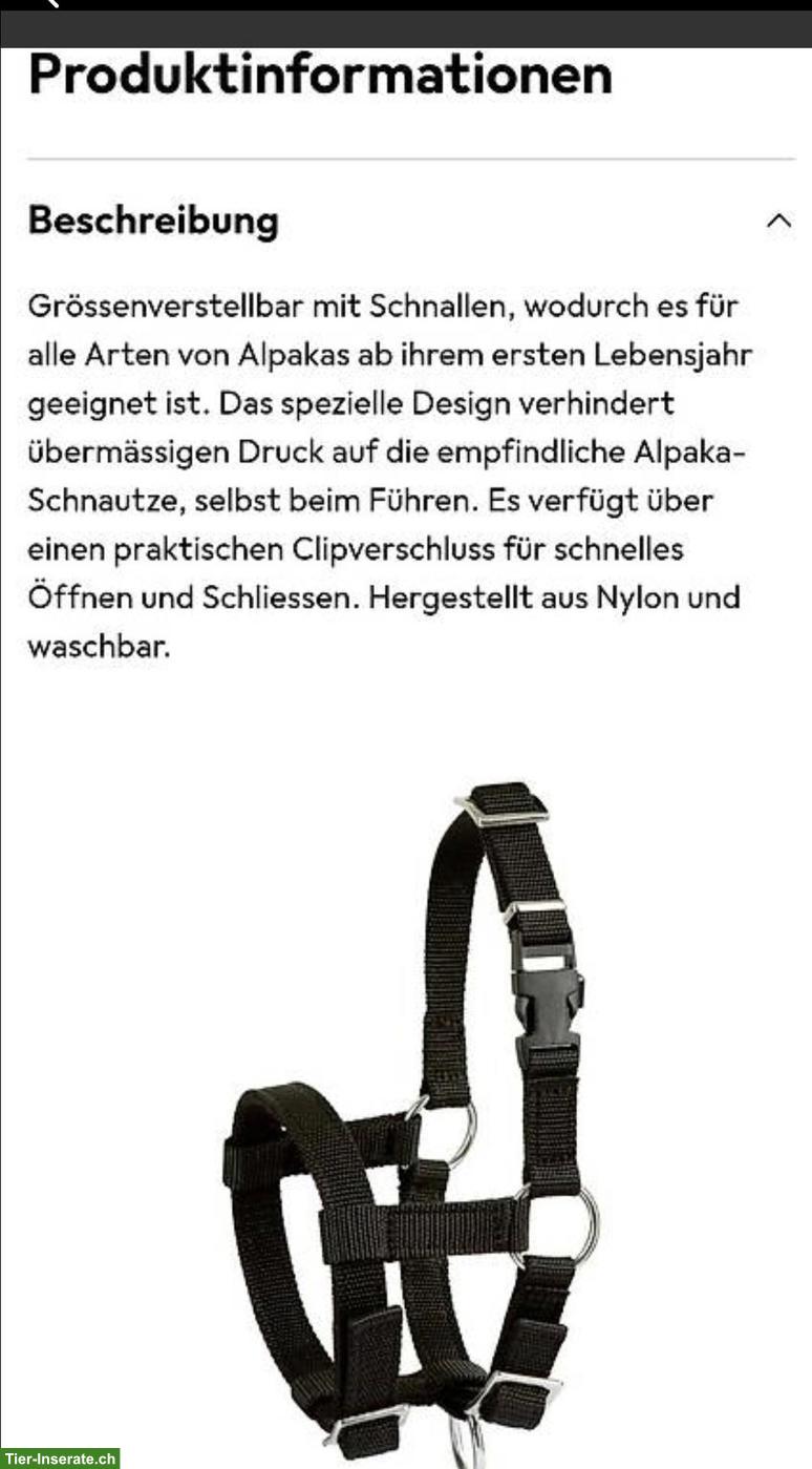 Bild 4: 3 Alpaka Halfter, neuwertig