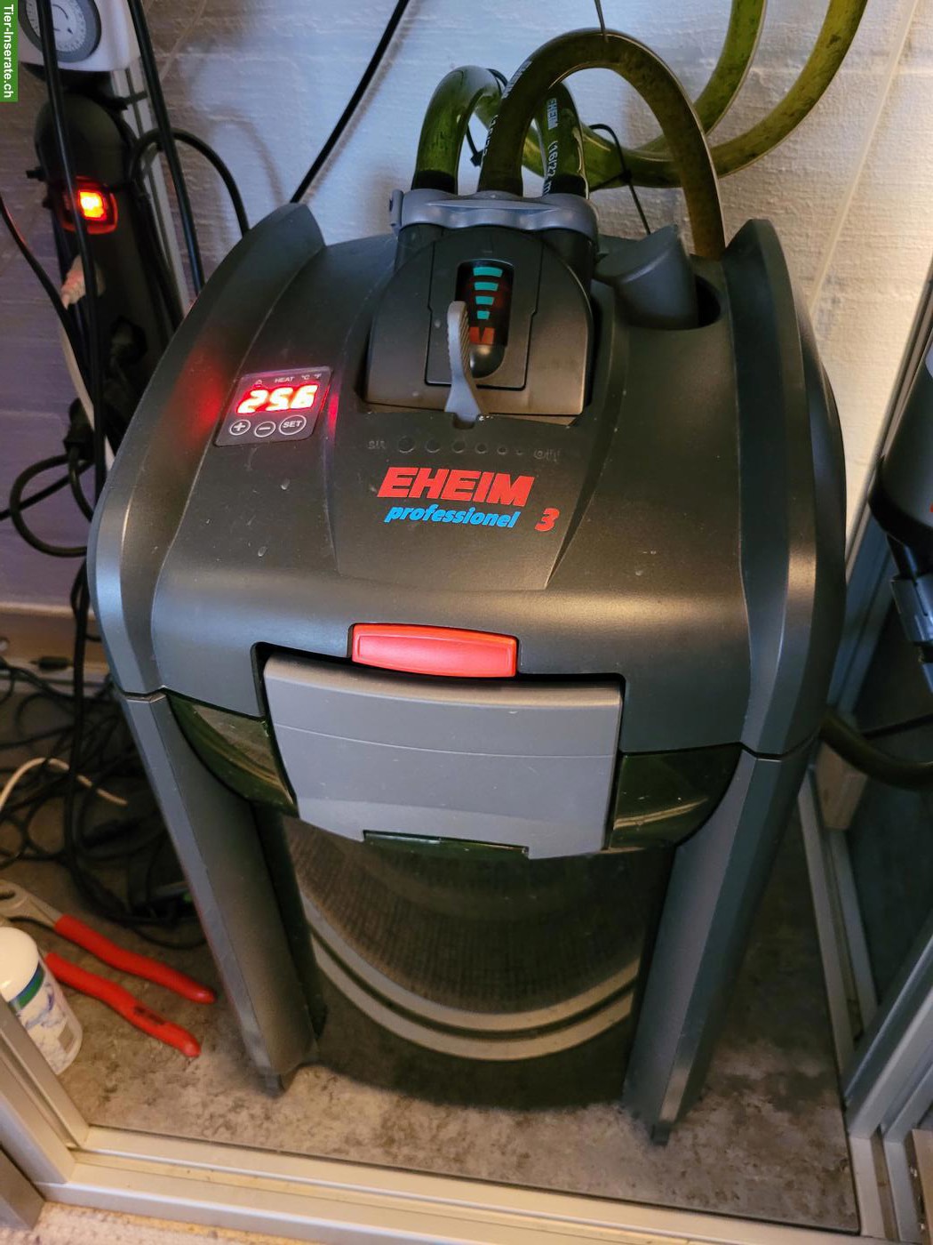 Bild 3: Komplettes Aquarium inkl. Fische & Zubehör zu verkaufen