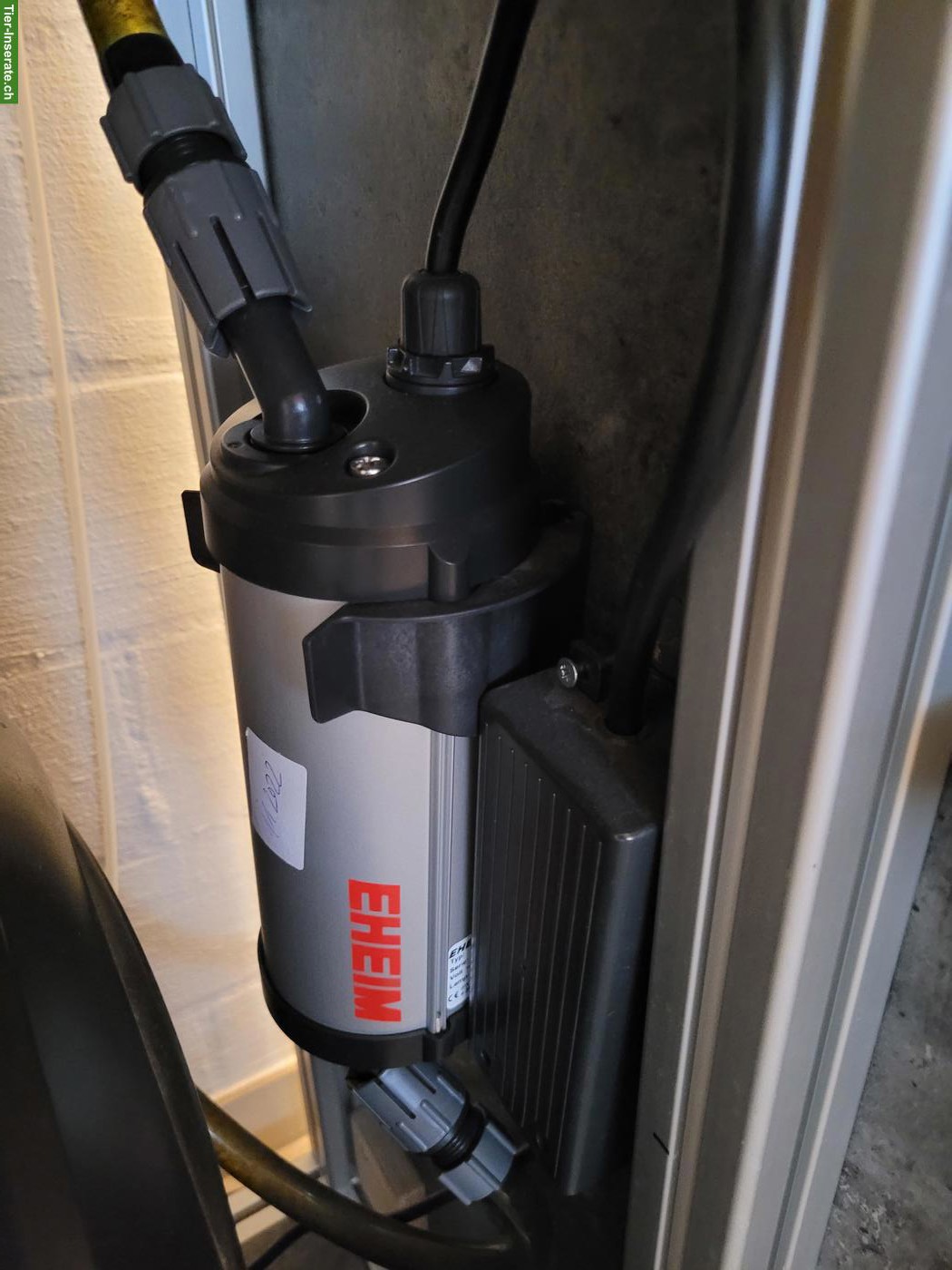 Bild 4: Komplettes Aquarium inkl. Fische & Zubehör zu verkaufen